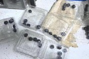 315在行動(dòng)|賽博鬼秤？直播間買8盒藍(lán)莓每盒才5顆 別讓網(wǎng)購“攔”住份量“沒”了良心