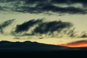 蓮花之夢(mèng)，一場深邃的夢(mèng)境之旅