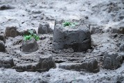 夢(mèng)中的雷擊，心靈的覺醒之旅，夢(mèng)中的雷擊，心靈的覺醒之旅