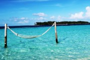 夢(mèng)中的大魚之旅，夢(mèng)中的大魚之旅