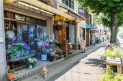 夢中的樓房，一場心靈的探索之旅，夢中的樓房，心靈探索之旅的啟程