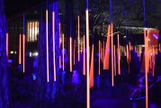 夢中喜宴，一場難忘的盛宴，夢中喜宴，難忘的盛宴之旅