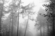 煙囪之夢，探索夢境中的神秘符號，煙囪之夢，探索神秘符號的夢境之旅
