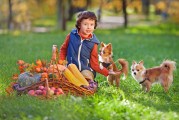 如何在安吉拉游戲中免費游玩？，免費游玩安吉拉游戲的方法