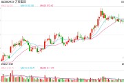 董事長被留置并立案調查 股價盤中一度跌超10% 萬辰集團如何化解危機？