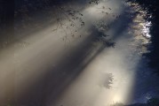 夢中情愫，解析夢中有人喜歡自己的心理奧秘，解析夢中有人喜歡自己的心理奧秘，夢中情愫的探索