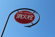 無廣告、無內購、無充值的跑酷游戲大放送！為愛發電