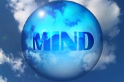 上海網站優化服務費用解析，價格因素與性價比考量