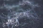 體驗自由無拘無束的游戲世界——免費主機游戲的魅力解析，如何領(lǐng)略自由無拘無束的游戲世界，從免費主機游戲的特性解析