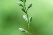 搭建菠菜網站的重要性與步驟，重要性，為何搭建菠菜網站？步驟指南