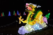 保衛(wèi)蘿卜游戲中，免費(fèi)并不是一種誘惑，保衛(wèi)蘿卜，游戲中的付費(fèi)意識與策略分析