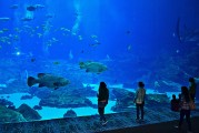 日照市是中國山東省的一個海濱城市，擁有豐富的旅游資源和文化底蘊。隨著互聯網技術的發展，日照的旅游業也在不斷壯大。日照網站優化的重要性不言而喻。，日照，中國山東省海濱城市的旅游資源與文化魅力