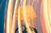 CCG（Collective Content Game），一個讓玩家盡情探索的免費游戲世界，自由探索，無拘無束！體驗CCG的魅力，免費游戲世界之旅