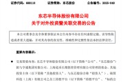 大漲超200%！688110，出手增資上海礪算！