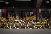 "車庫禁停新能源車"？廣東省博物館回應