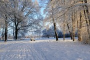 冰雪奇緣游戲——讓你置身于一個全新的冰雪世界！，冰雪奇緣冒險，沉浸式游戲體驗帶你穿越奇妙冰雪世界