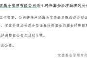 罕見！寶盈基金詭異的基金經理變動！