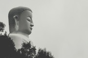 夢中之旅，與他人共度的奇妙時光，夢中之旅，與他人共度的奇妙時光