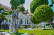 夢中的李子樹，一段心靈的旅程，夢中的李子樹，心靈的旅程之旅