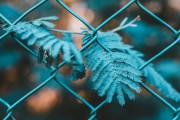 SEO是什么？，簡要解析，理解SEO的基本概念和術(shù)語