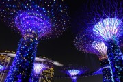 藍球之夢，一場夢幻的籃球之旅，藍球之夢，一場夢幻的籃球之旅