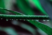 一種技術與藝術的完美結合，科技與藝術的碰撞，探索新型融合方式