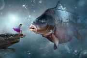 夢中捉魚，一場與魚的奇妙邂逅，夢中捉魚，一場與魚的奇妙邂逅