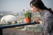 夢中邂逅，女孩的神秘世界，夢中邂逅，女孩的神秘世界