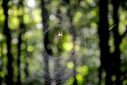 解密無限游戲——免費手機解密游戲的帶你探索未知世界，一鍵破解，揭秘無窮游戲，解鎖無限世界