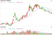 電解液“一哥”天賜材料業績再腰斬，比兩年前少賺50億元