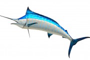 無限制的海洋冒險，游戲釣魚免費下載體驗，無盡海洋，魚類垂釣樂趣無窮！輕松下載并享受游戲捕魚的樂趣