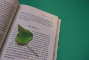 晉江文學城作者注冊指南，輕松開啟你的創作之旅，輕松注冊晉江文學城，開啟你的創作夢想之旅