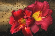 妃容天下游戲全線上免費(fèi)！你還在等什么？這款以歷史背景和精美畫面為題材的手機(jī)游戲，即將在全線上全面開(kāi)啟。，妃容天下手游預(yù)約開(kāi)啟