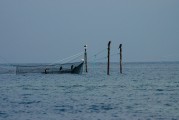 夢中的魚影，一次自我探索的殺魚夢，夢中之魚影，一次自我探索的殺魚夢境