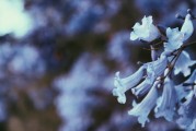 夢(mèng)游菜地，一場(chǎng)與自然的對(duì)話，夢(mèng)游菜地，與自然的對(duì)話之旅