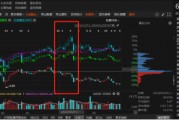 祥源文旅非經營性資金占用雖已歸還，但仍被出具警示函！
