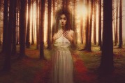 九尾狐之夢，探尋神秘與幻想的交織，九尾狐之夢，神秘與幻想的交織