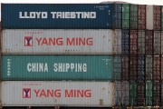 流量費網(wǎng)站的崛起與影響，流量費網(wǎng)站的發(fā)展與趨勢，對消費者和運營商的影響