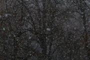 夢中雪舞，心靈的洗禮，夢中雪舞，心靈的洗禮