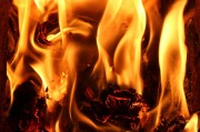 行尸走肉游戲免費(fèi)下載，讓你在末日中找尋生存之道，高清免費(fèi)的行尸走肉游戲大放送，末世求生必備神器