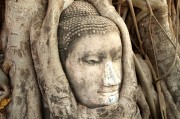 游戲中的情感釋放，憤怒與自由，深度解析，游戲中的情感釋放、憤怒與自由
