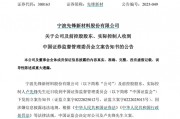 因涉嫌信息披露違法違規，先鋒新材及總經理盧先鋒被立案