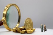 貨幣市場基金：高流動性現金管理工具優選？