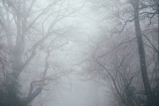 夢境中的奇妙之旅，一次關(guān)于屎的夢境解析，夢境中的奇幻之旅，屎的夢境解析