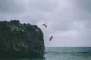 夢中的困惑，解析夢到拿別人的錢