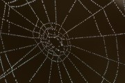 Unity開發的概述，Unity，創建3D游戲和應用程序的強大工具