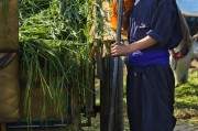 能在掙錢的免費農場游戲中生存下去嗎？，逃脫農地，自由農場生存挑戰