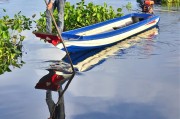 夢中魚游——一場關于小魚的夢境之旅，夢中魚游，一場關于小魚的夢境之旅