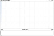中國北大荒授出6.225億份購股權