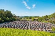 打造空中農田，讓夢想照進現實——免費種地游戲的探索與啟示，空中農田，挑戰、機遇與啟示——一個免費種地游戲的探討